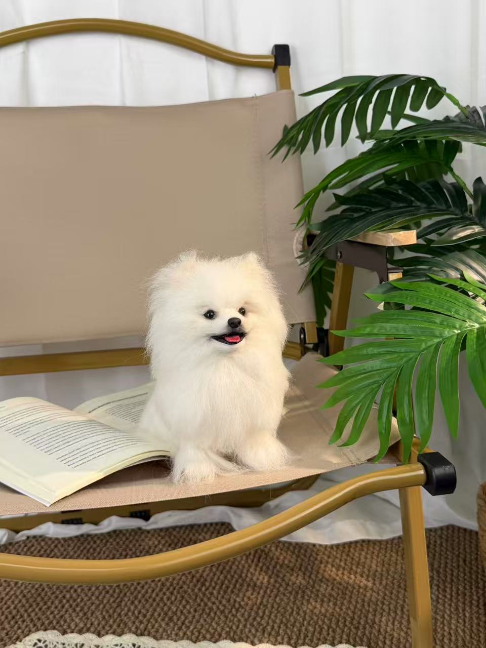 Custom full-body needle-felt white Pomeranian sculpture by Padmori